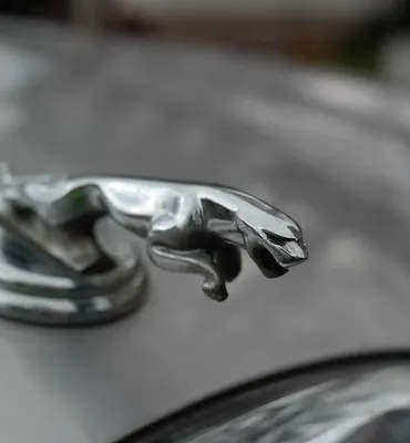 Clear-coat mat