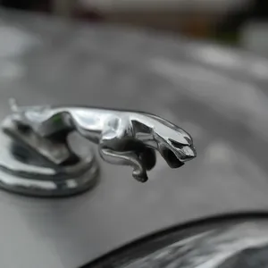 Clear-coat mat